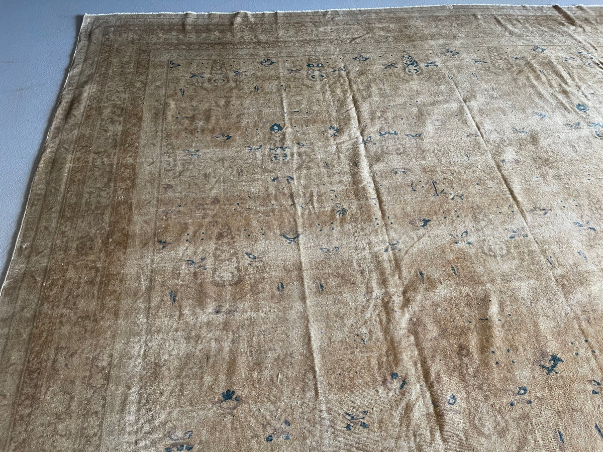 Antique Indian  #18 Agra Beige Border 11 x 15