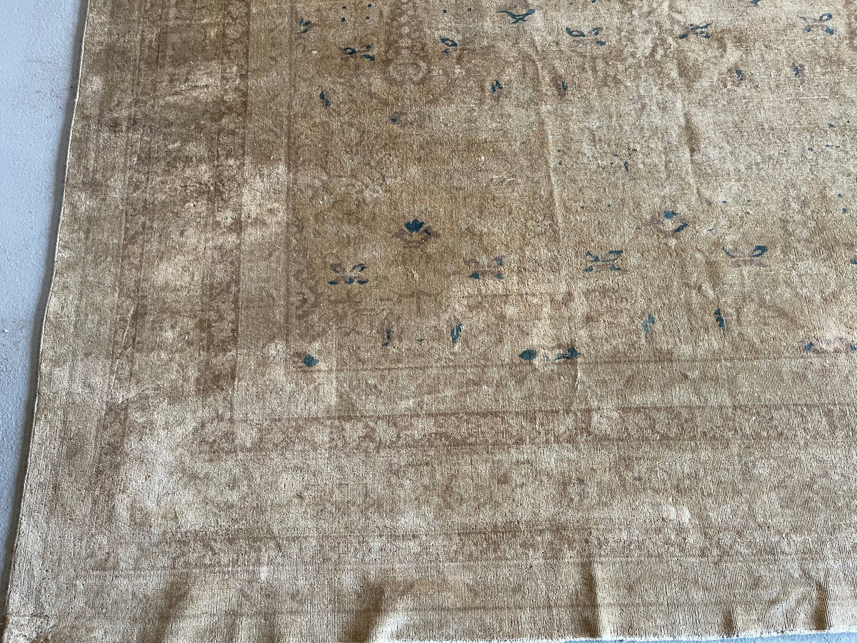 Antique Indian  #18 Agra Beige Border 11 x 15