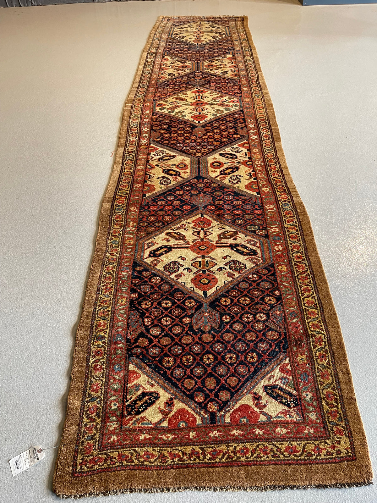 #2451 Camel Hamad 3.5 x 14.9