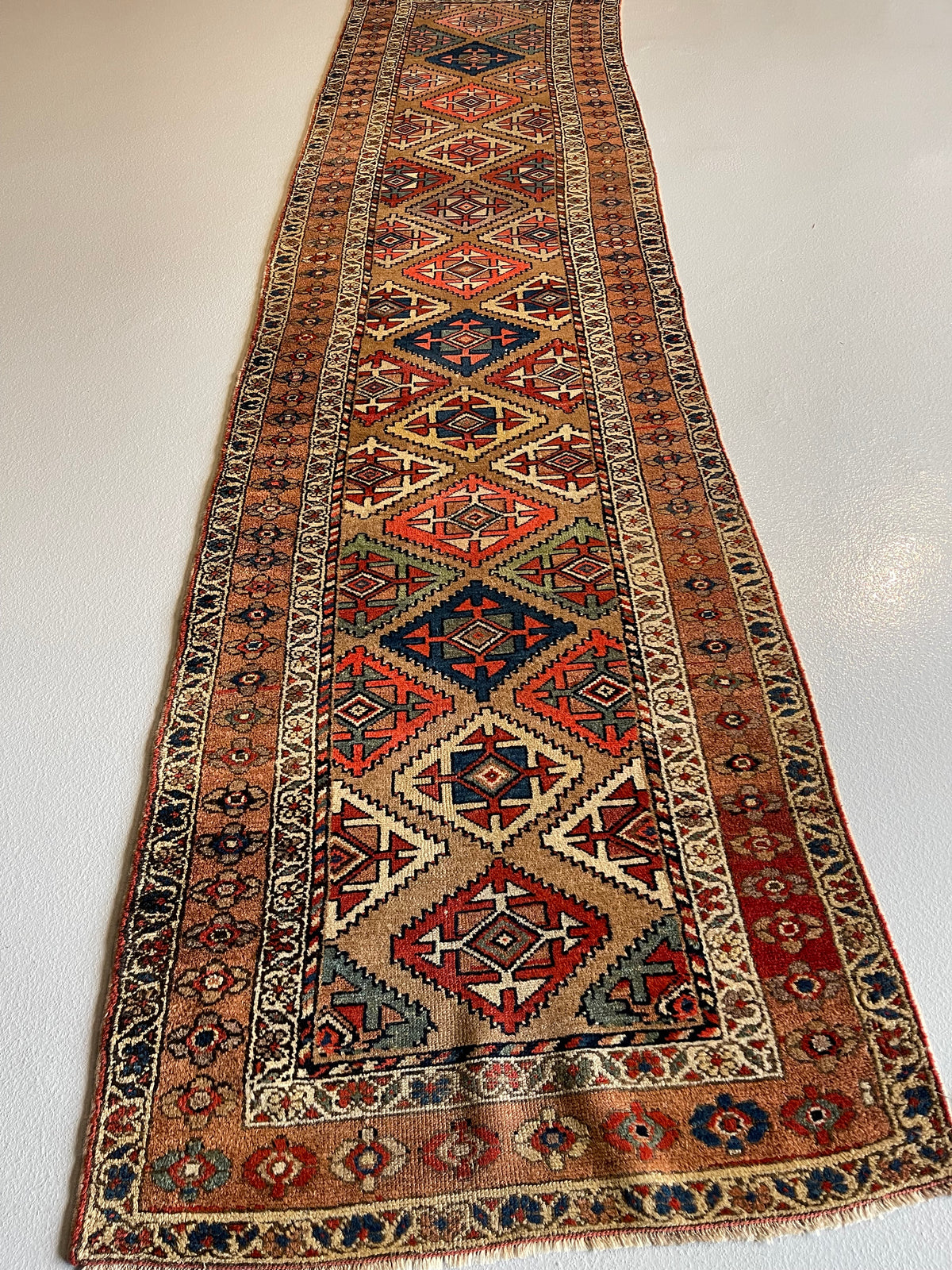 #2454 Camel Hamad 3.6 x 13.5