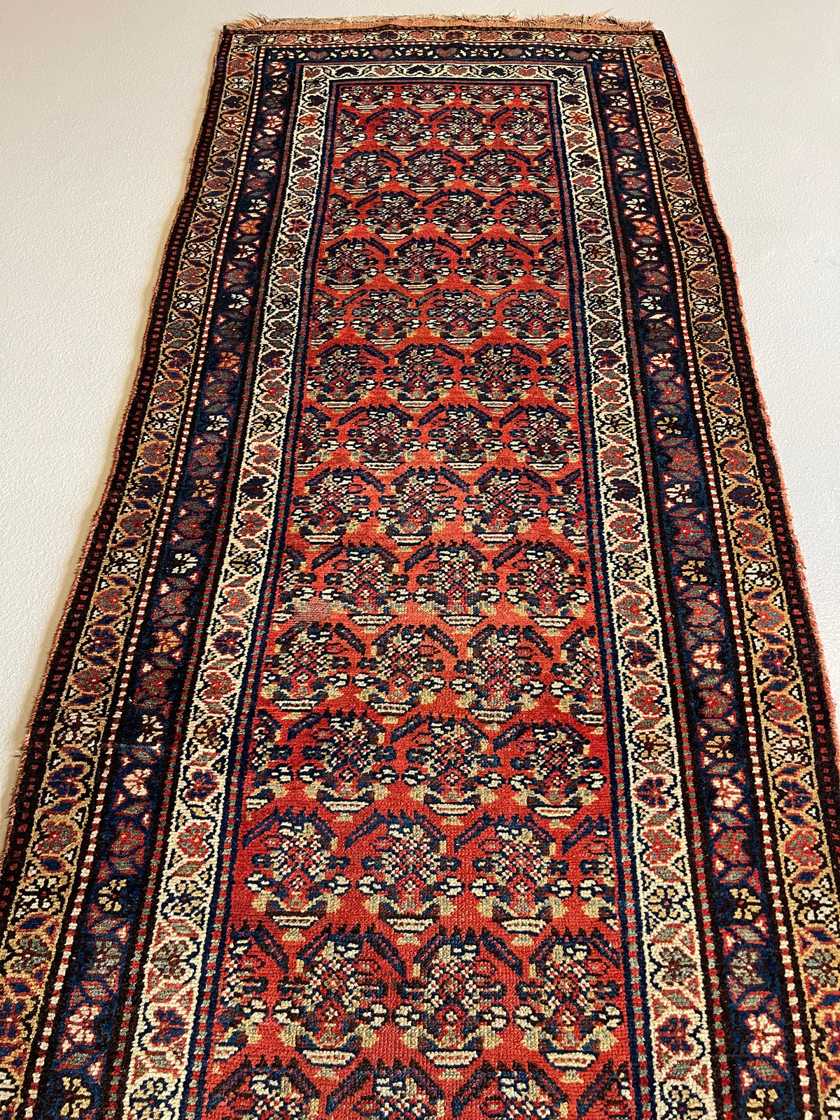 #2455 Kurd 3.8 x 12.9