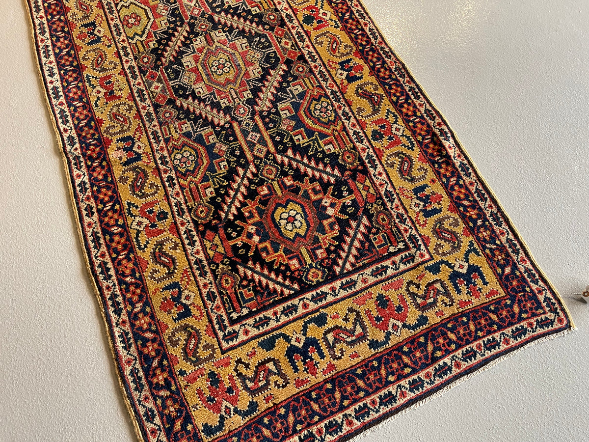 #2507 Northwest Persia 13.1 x 3.4