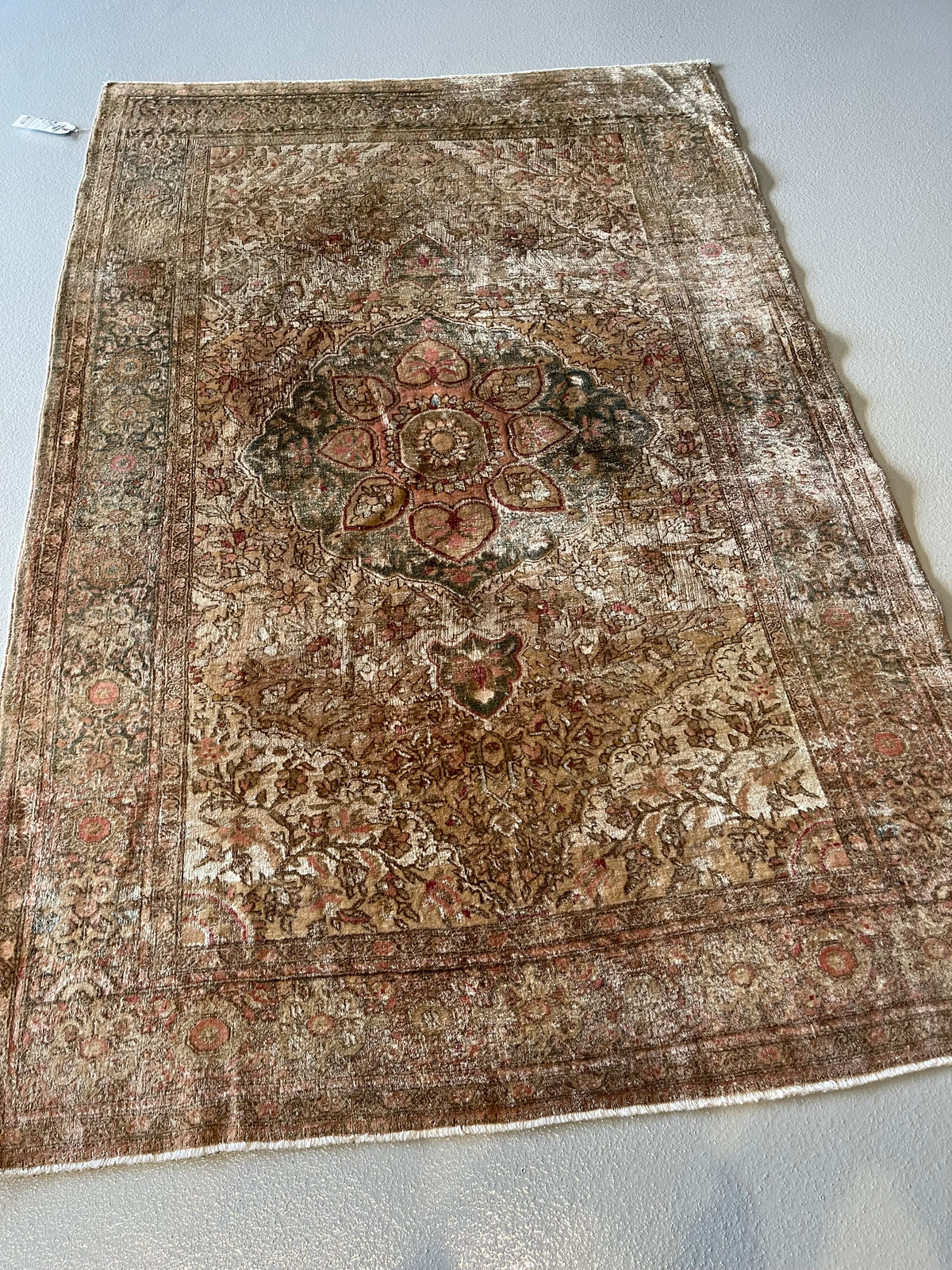 #2728 Sarouk 4.2 x 6.2