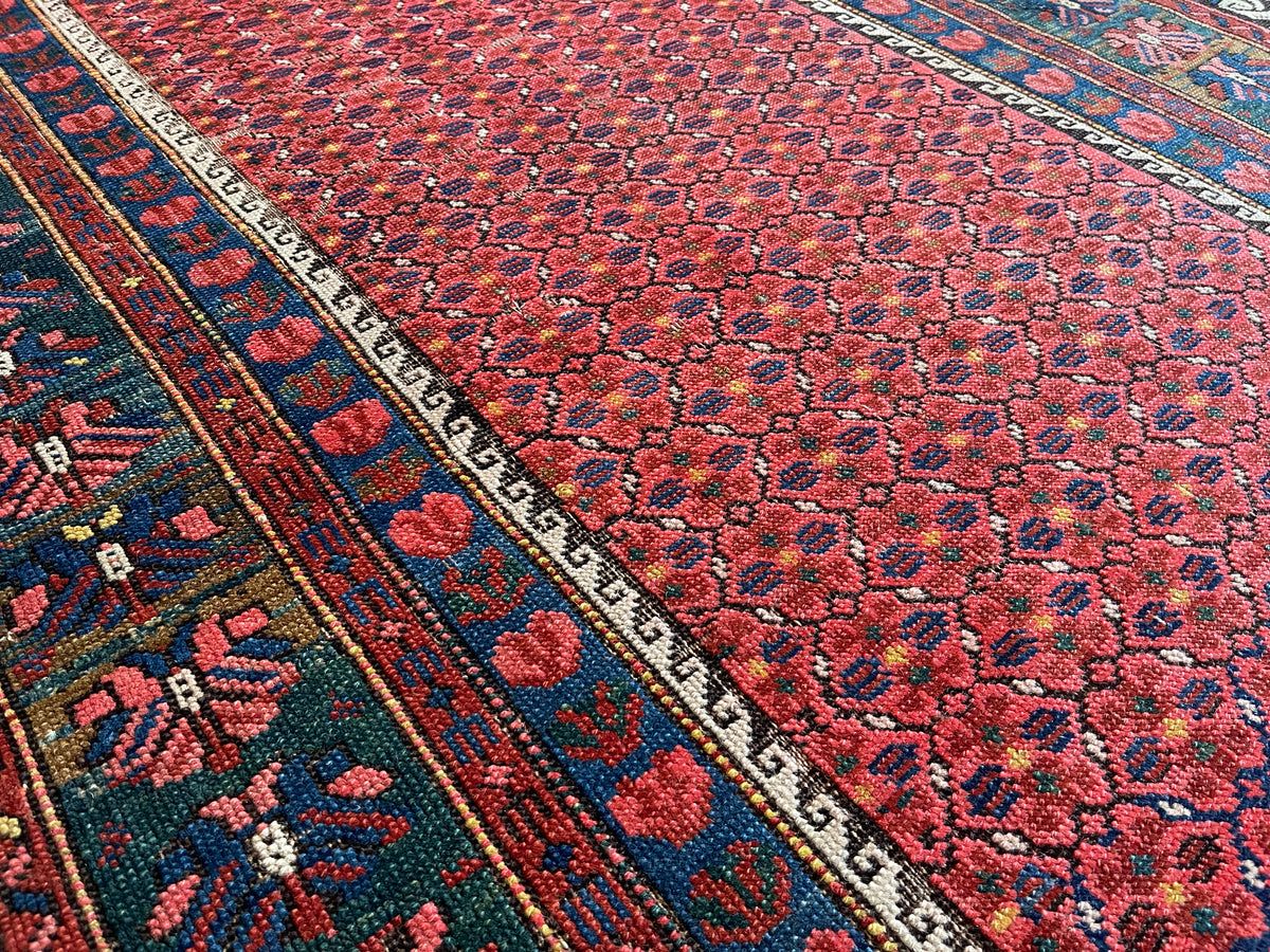 #2730 Kurd 3.10 x 6.4