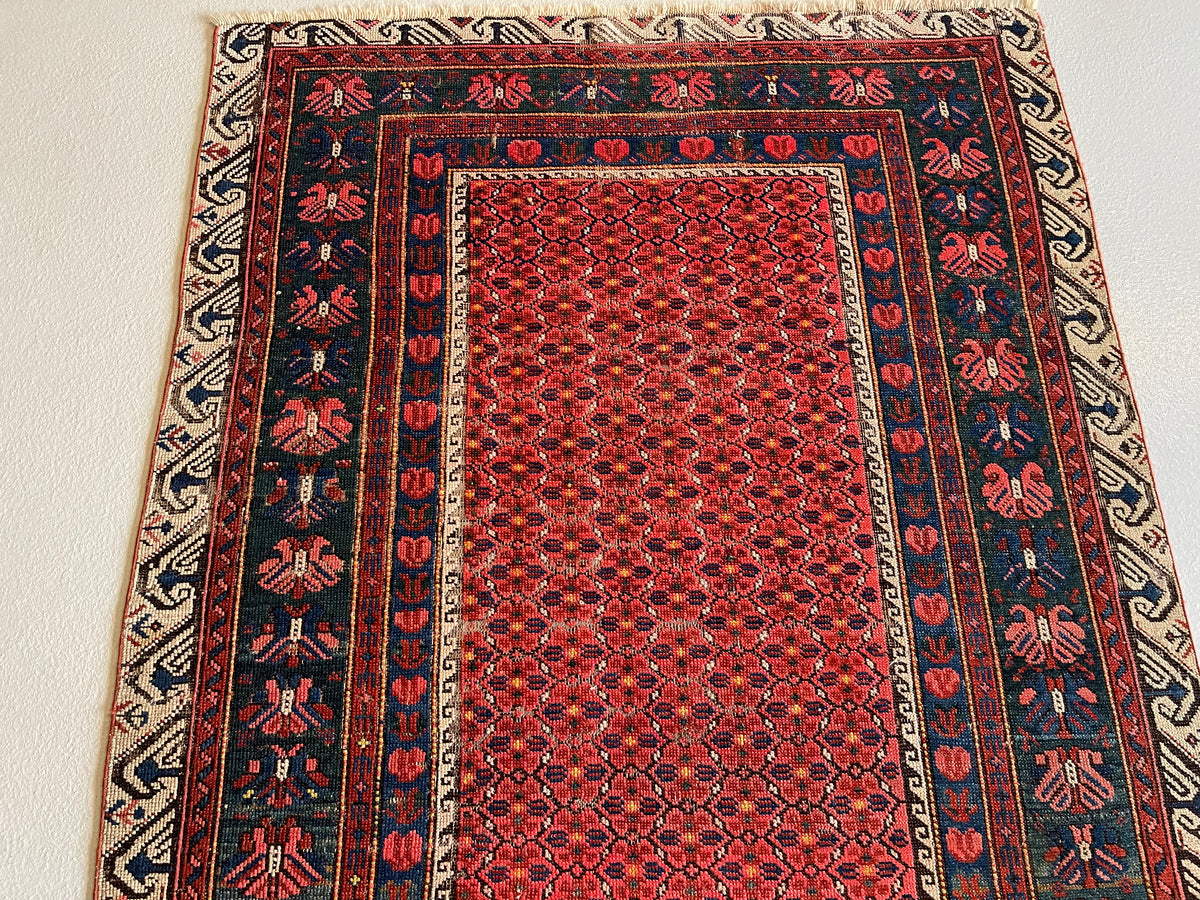 #2730 Kurd 3.10 x 6.4