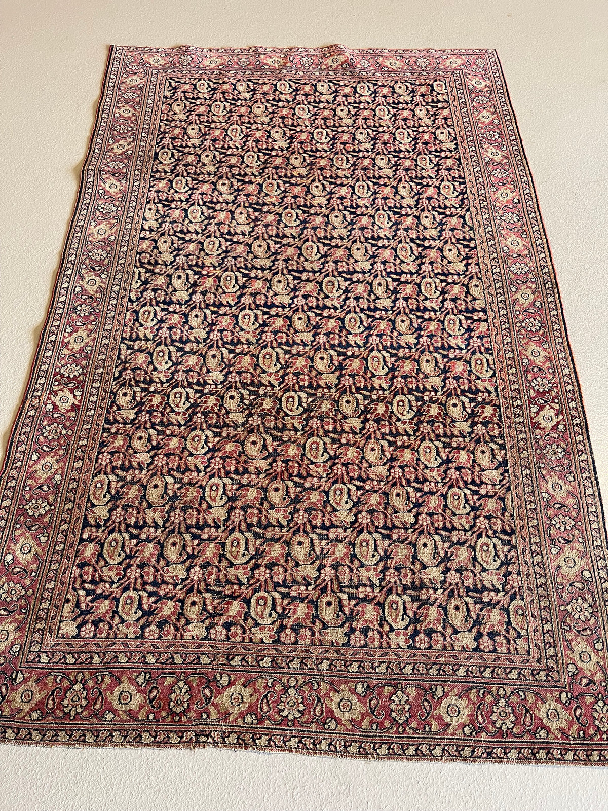#2732 Birjand 3.9 x 5.10