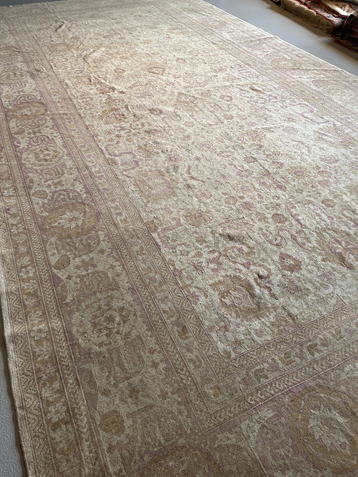 10.7&#39; x 20.7&#39; #2830 Agra Rug