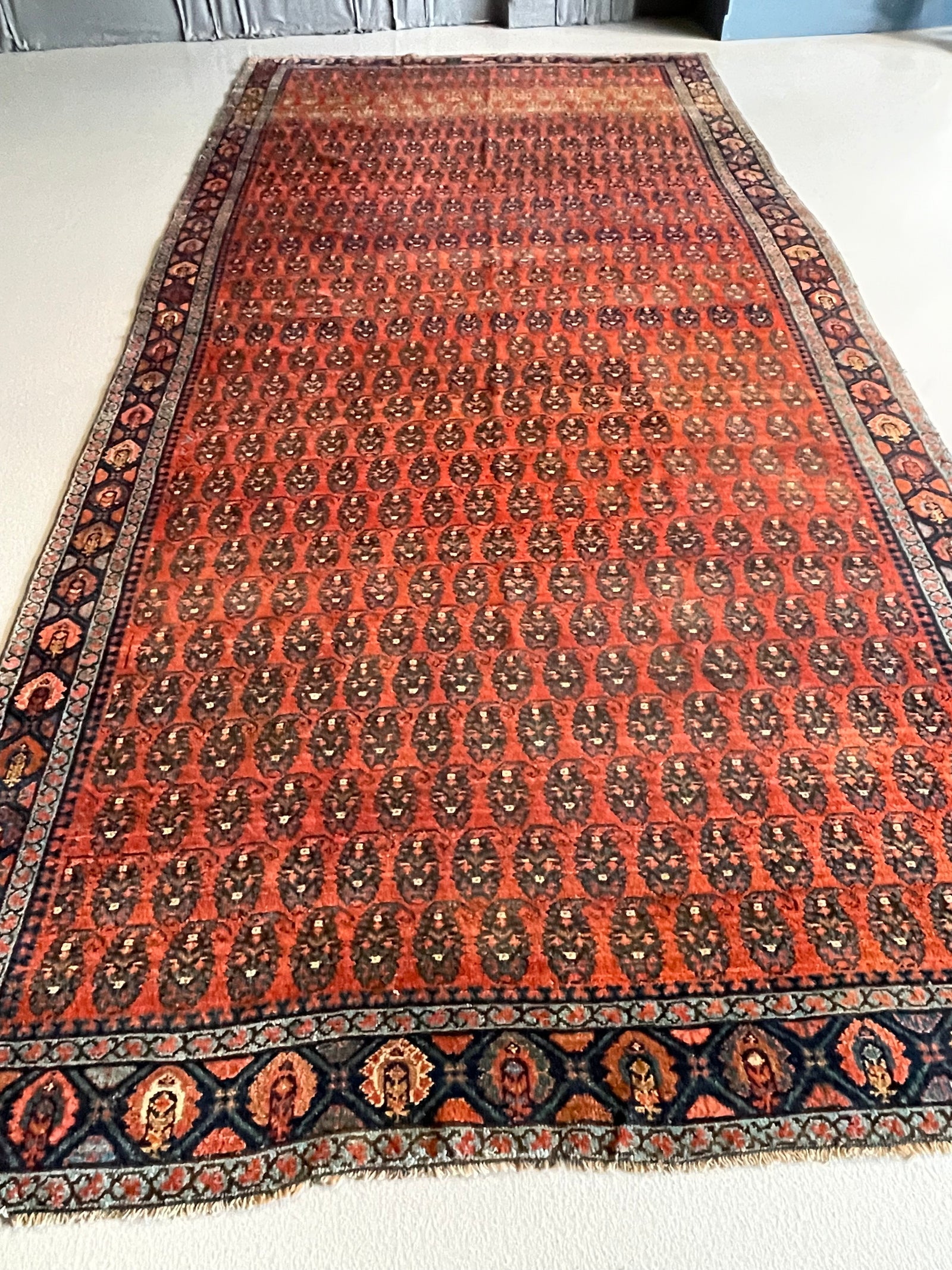 6.4' x 14' #2832 Kurd Rug 