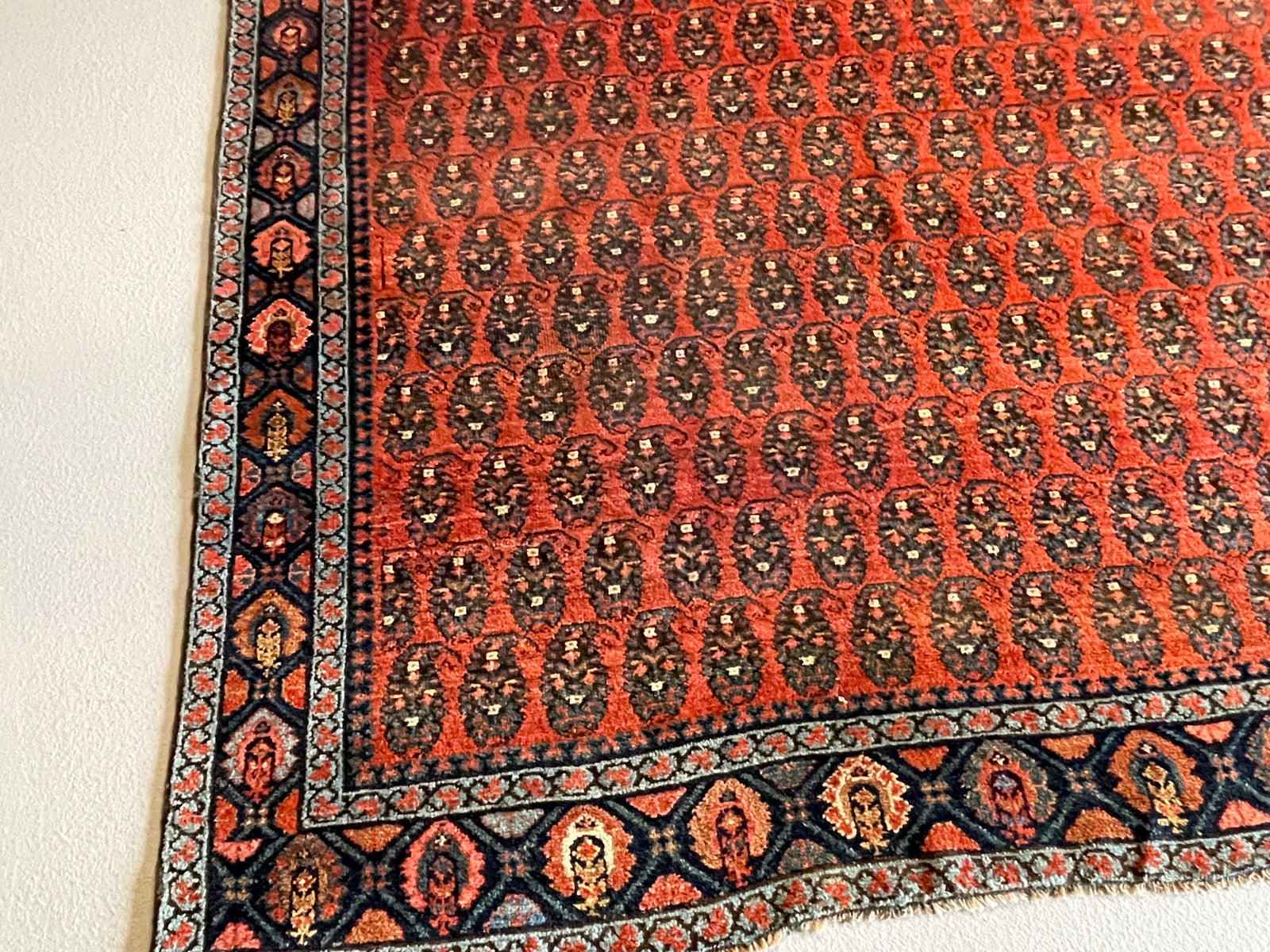 6.4' x 14' #2832 Kurd Rug 