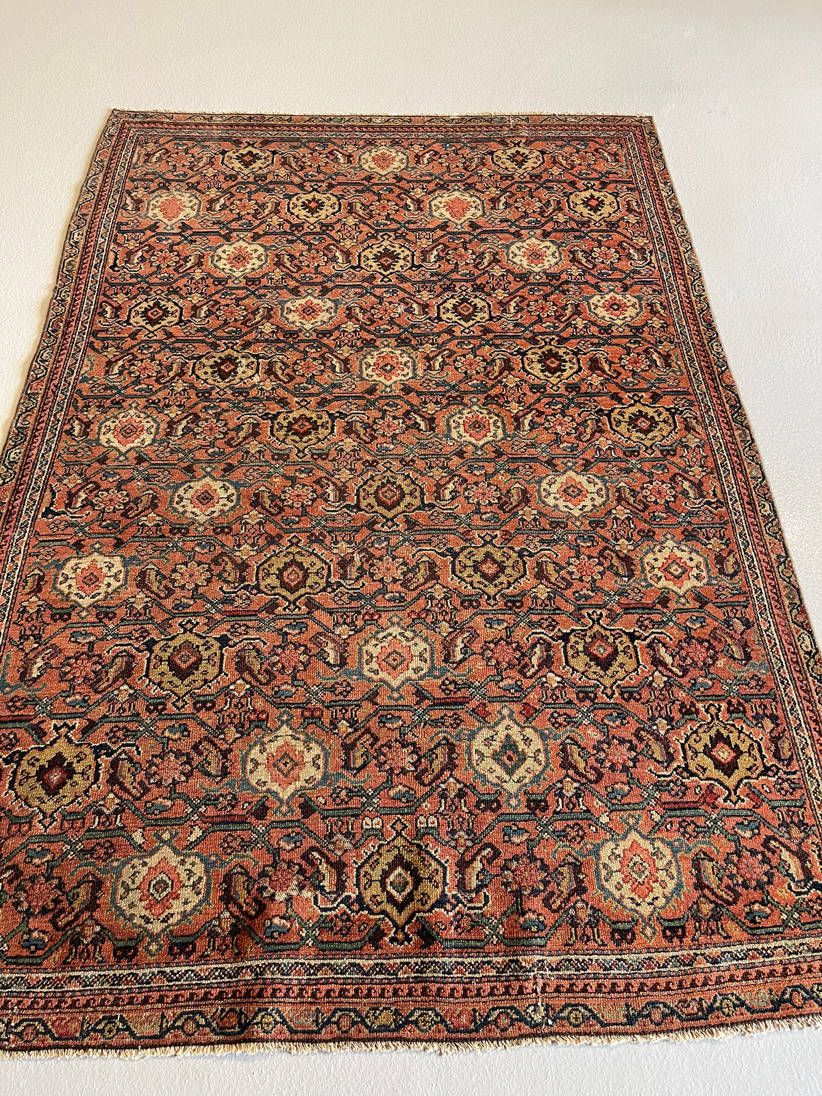 4.6&#39; x 6&#39; #2906 Sene Rug