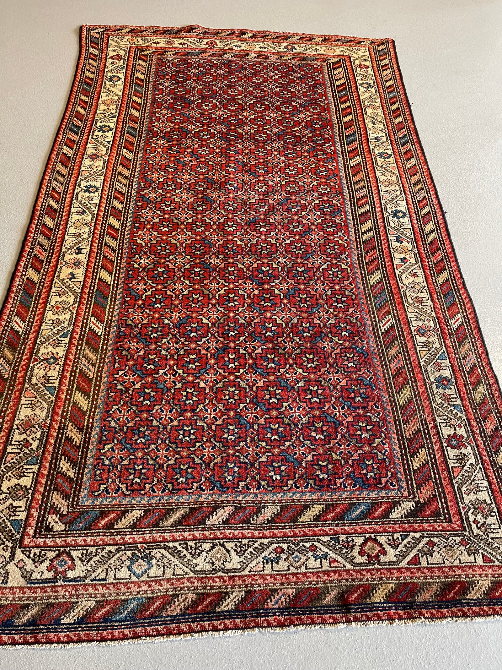 4.8' x 8.2' #3519 - Hamadan 