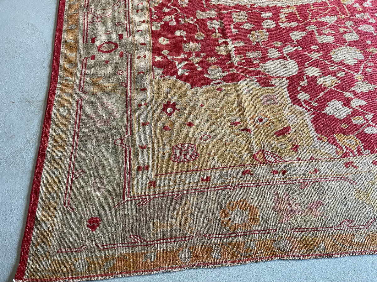 9.10&#39; x 12.11&#39; #3531 - Oushak Rug