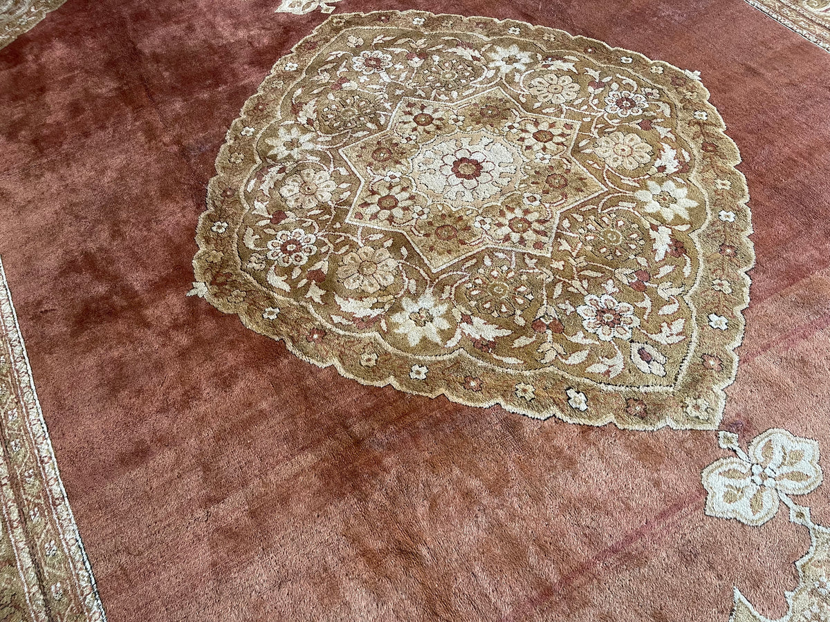 Antique Indian #49 Agra Olive Border 16.5 x 11