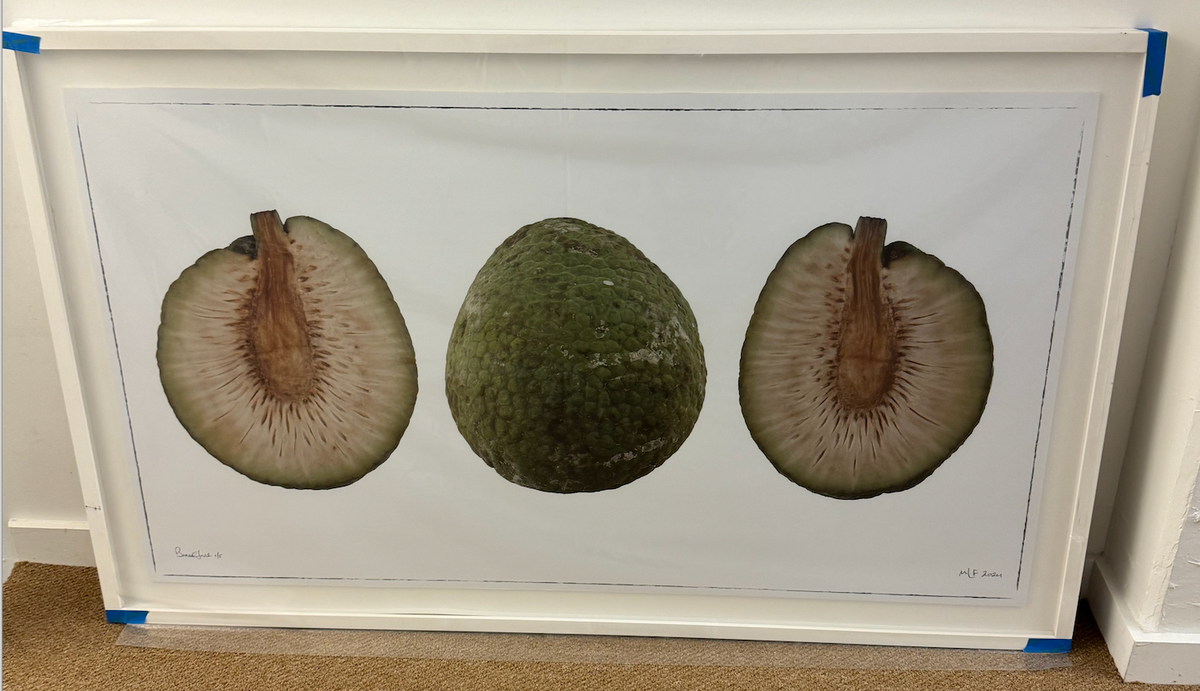 Martin Lewis Bread Fruit Triptych Framed 60X36