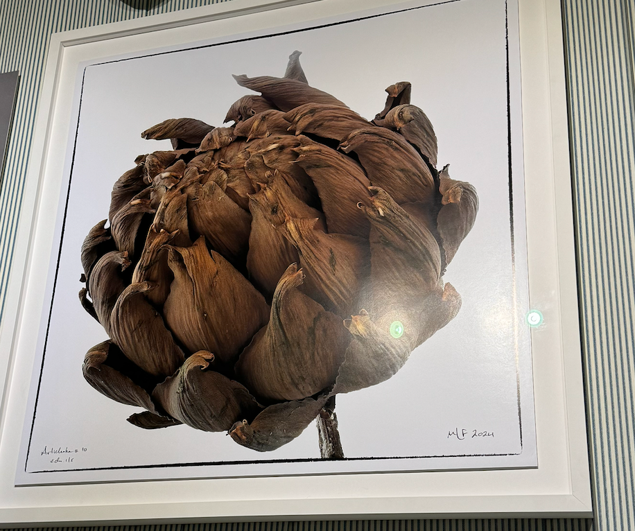 Artichoke 1 Martin Lewis Framed 