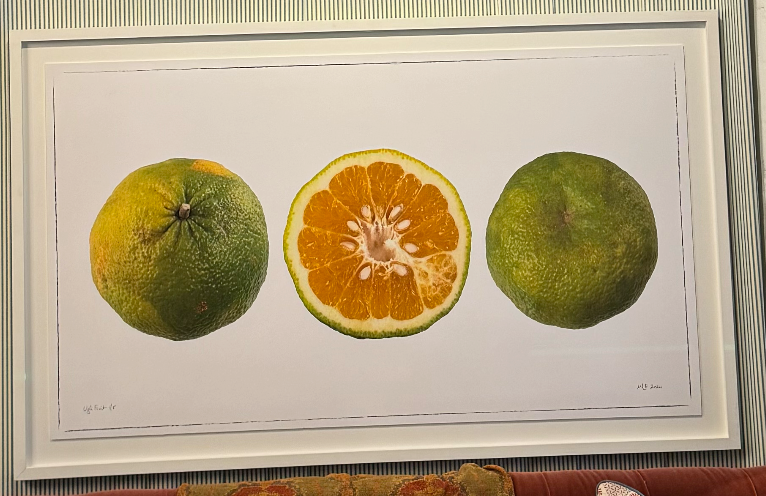 Martin Lewis Ugli Fruit Triptych Framed 60X36