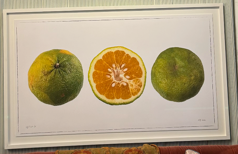 Martin Lewis Ugli Fruit Triptych Framed 60X36 