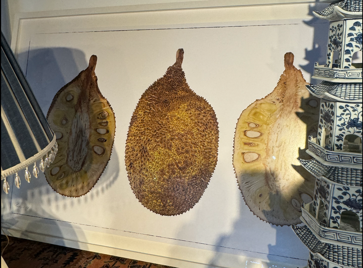 Martin Lewis Jack Fruit Triptych Framed 60X36