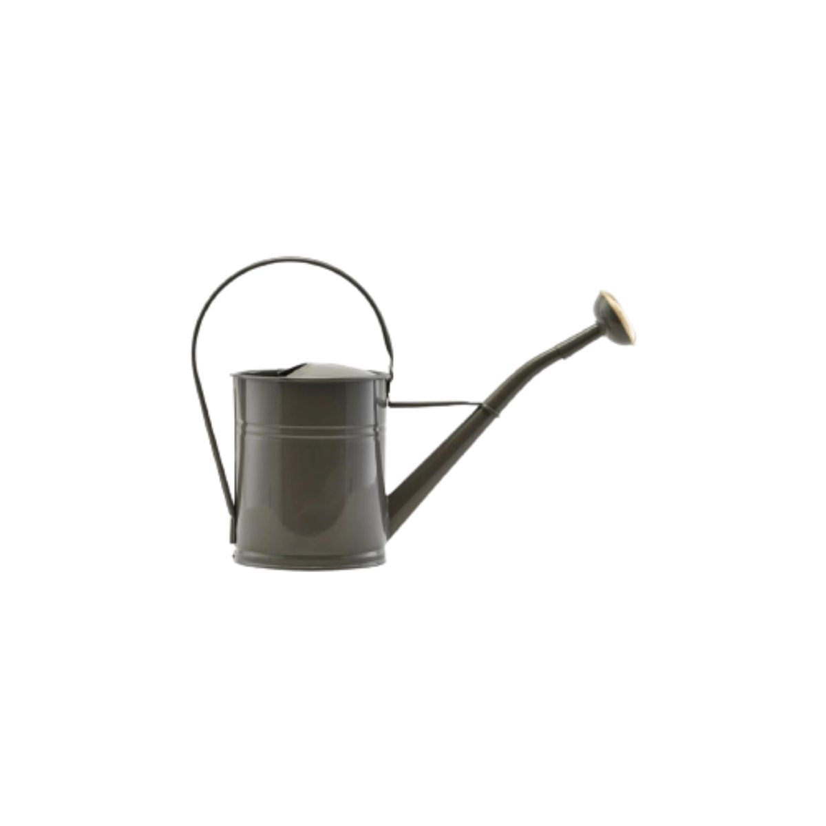 Iron and Zinc Watering Can, 2 Liters