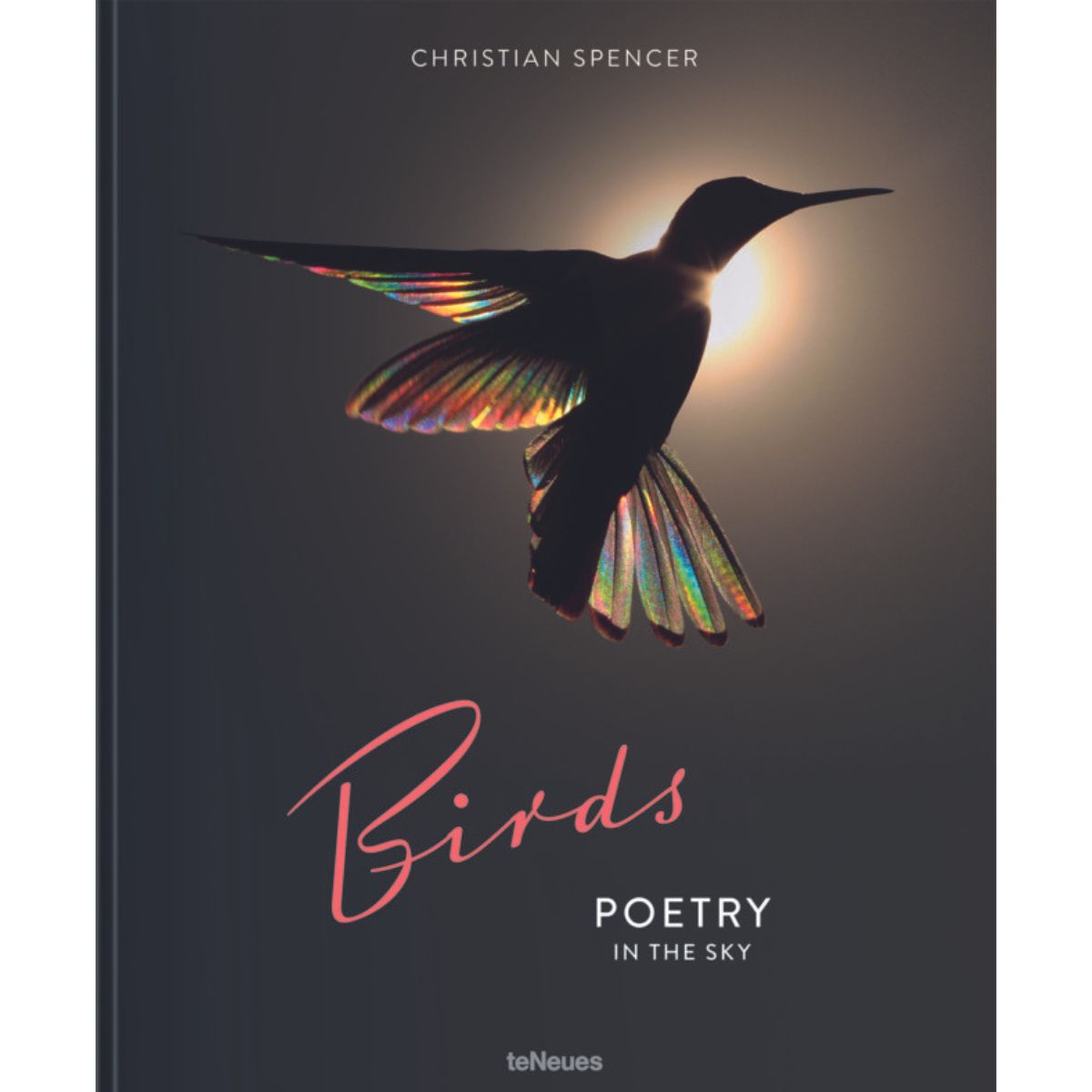 Birds, Poetry In The Sky 