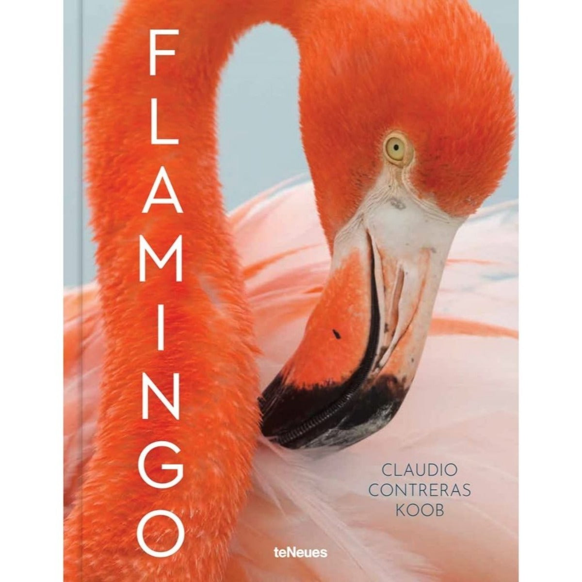 Flamingo by Claudio Contreras Koob 