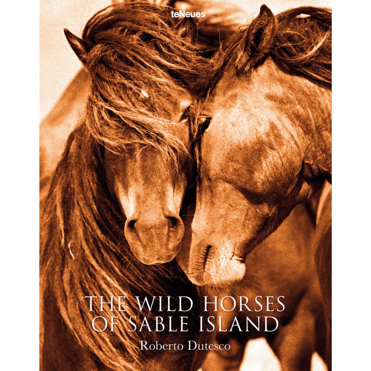 Wild Horses of Sable Island 