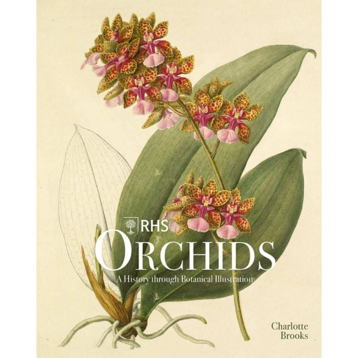 RHS Orchids by Charlotte Brooks