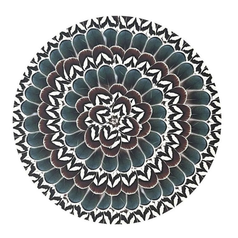 Pheasant Feather Wooden Placemats, Set of 4 