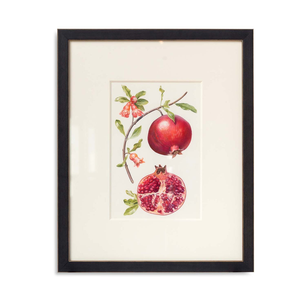 Pomegranate Watercolor