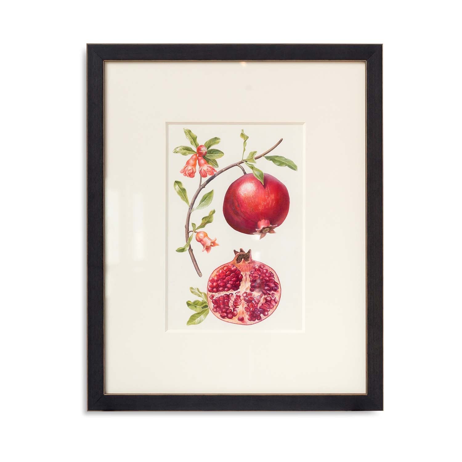 Pomegranate Watercolor 
