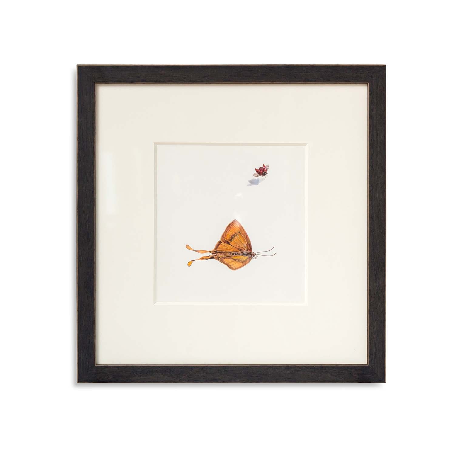 Ladybug Moth Watercolor 