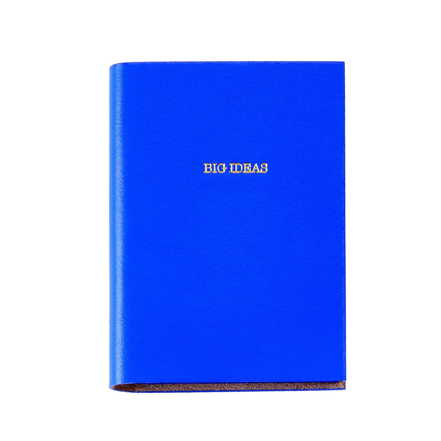 Big Ideas Mini Journal 